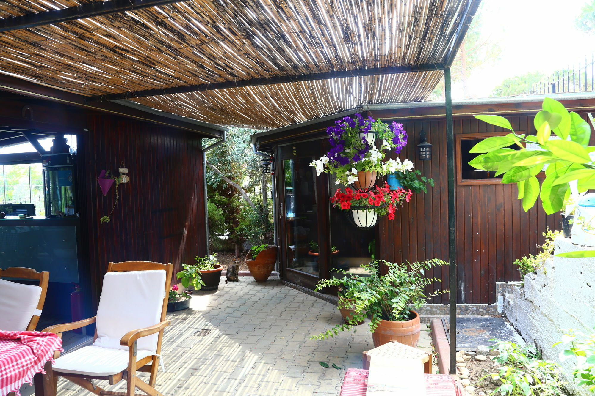 Guzelyali Hotel Ayvalı Exteriér fotografie
