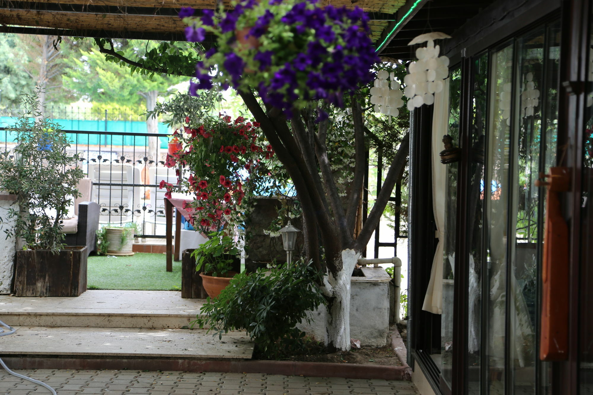 Guzelyali Hotel Ayvalı Exteriér fotografie